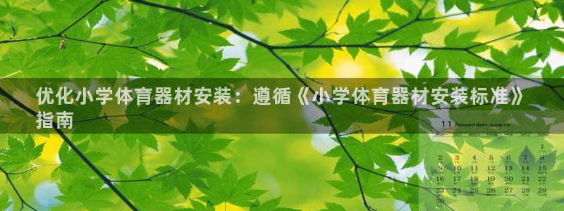 凯时国际平台有人赢吗：优化小学体育器材安装：遵循《小